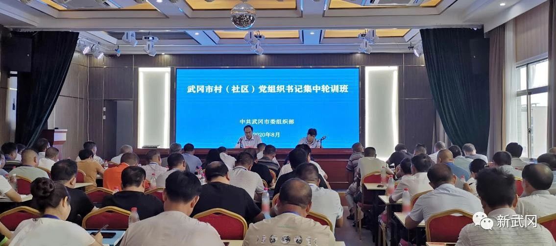 武冈市315名村（社区）党组织书记集中轮训(图2)