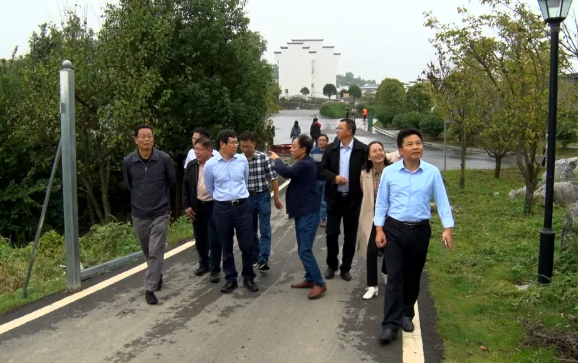 省专家组核验武冈市省级森林城市创建工作(图3)