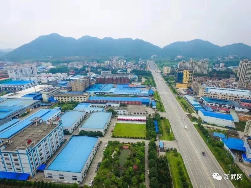 专访武冈经开区主任谢一之：勇于担当敢闯敢试推动经济高质量发展(图1)
