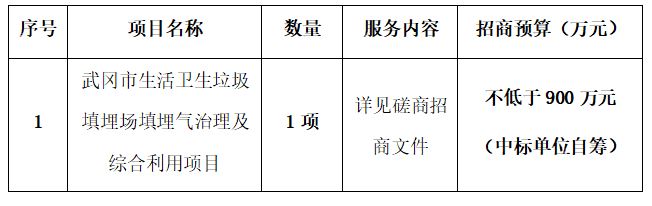 武冈市生活卫生垃圾填埋场填埋气治理及综合利用项目竞争性磋商招商邀请公告(图1)