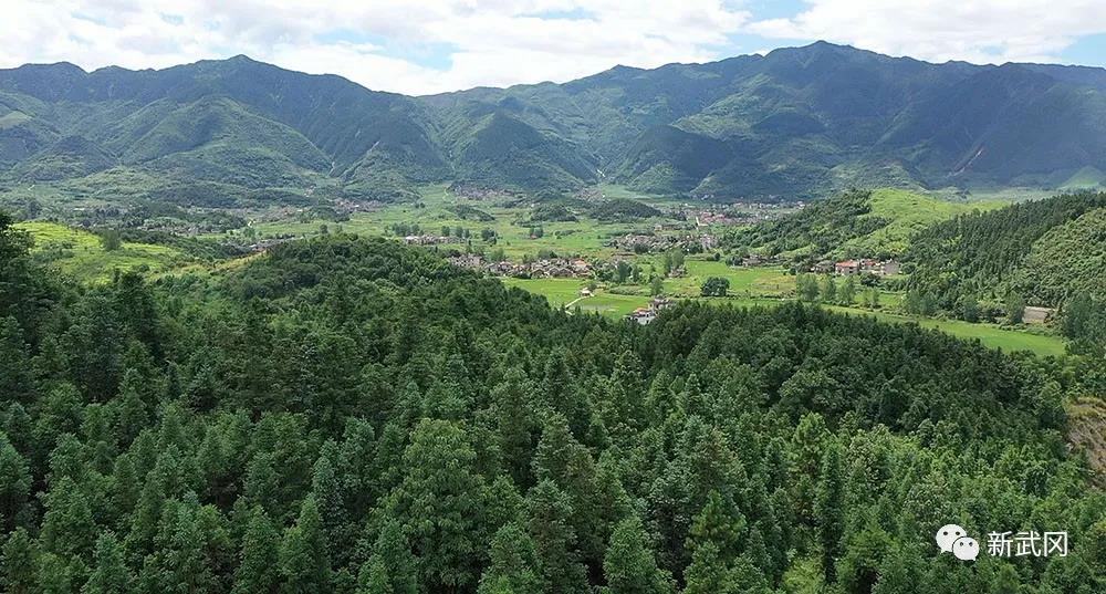 让森林走进城市,让城市拥抱森林——武冈市森林城市建设掠影(图5)