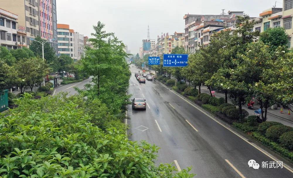 让森林走进城市,让城市拥抱森林——武冈市森林城市建设掠影(图2)