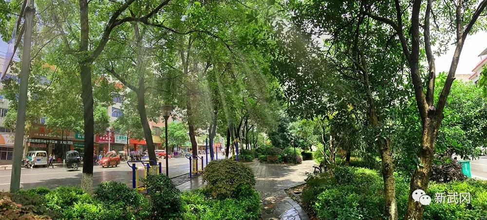 让森林走进城市,让城市拥抱森林——武冈市森林城市建设掠影(图3)