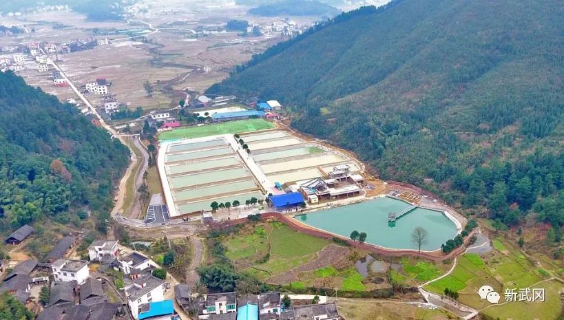 全省首个鱼类健康养殖院士工作室落户武冈(图2)