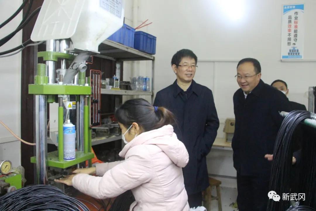 刘事青调研指导武冈脱贫攻坚“三保障”巩固落实和安全生产工作(图1)