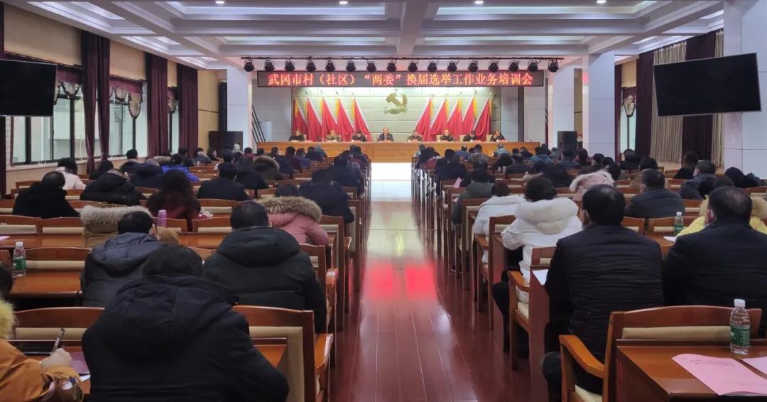 武冈市村（社区）“两委”换届选举工作业务培训会召开(图1)