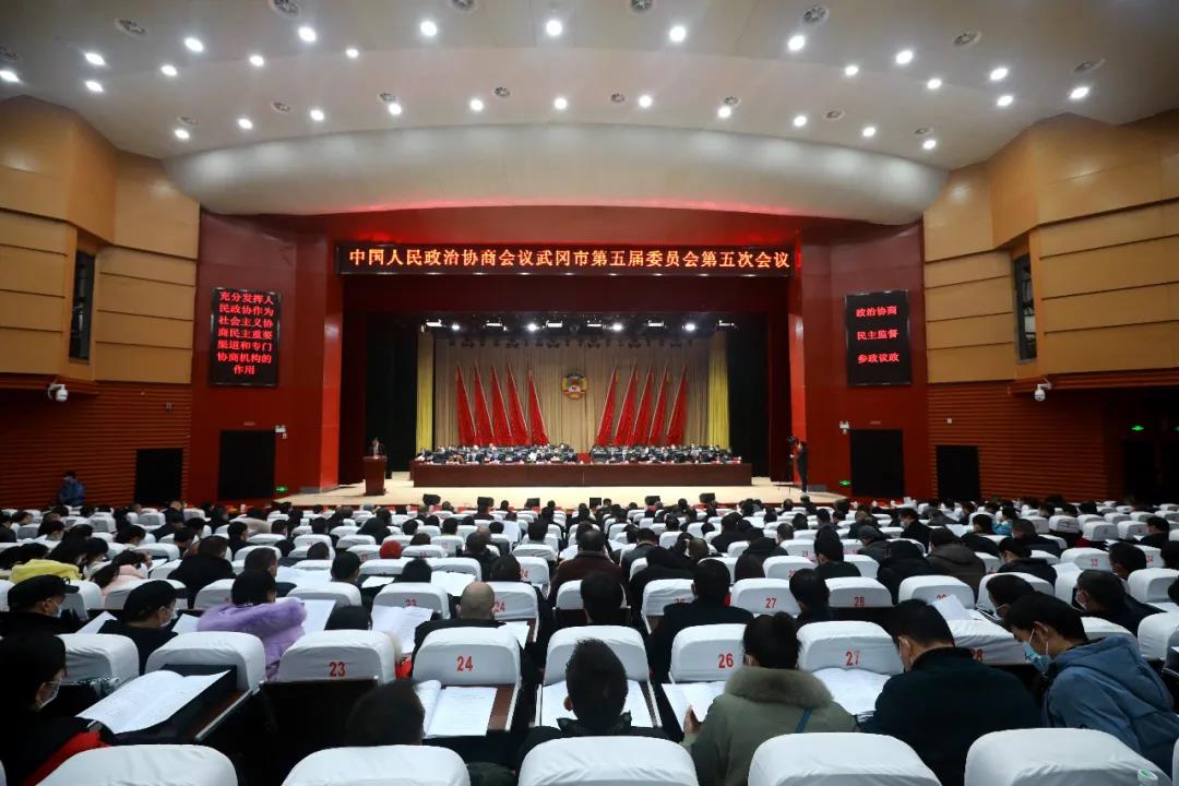 政协武冈市第五届委员会第五次会议开幕(图1)