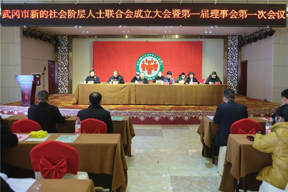 武冈市新的社会阶层人士联合会成立(图1)