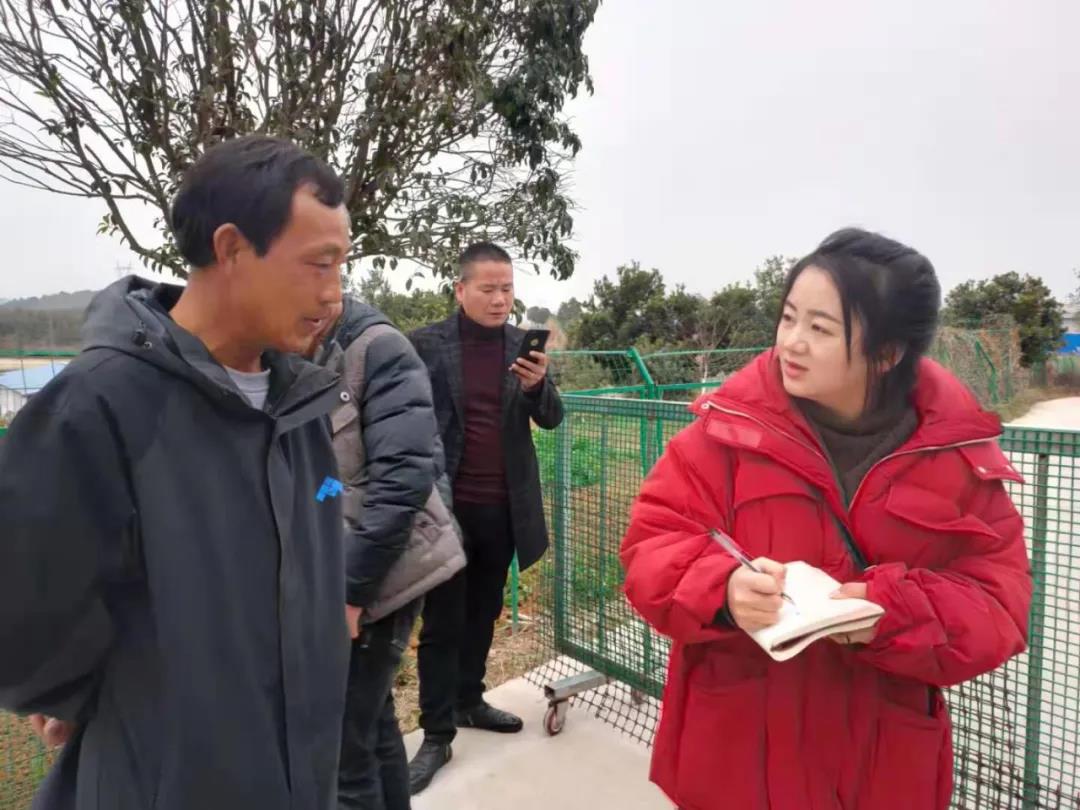 《向总书记报告：湖南脱贫了》特刊报道采访组走进武冈(图1)