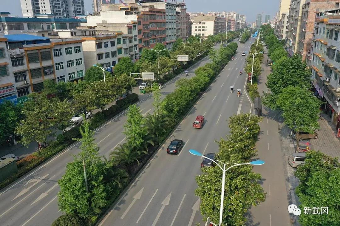 武冈荣膺“湖南省森林城市”称号(图1)