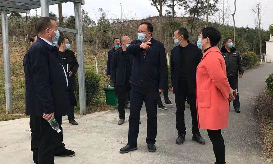 唐克俭督查游乐场所安全生产和森林防火工作(图1)