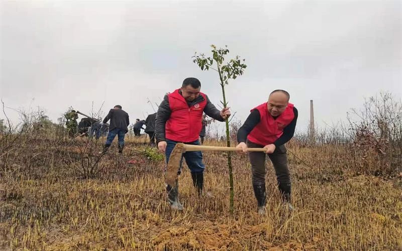 武冈：义务植树造林 为家园添新绿(图6)
