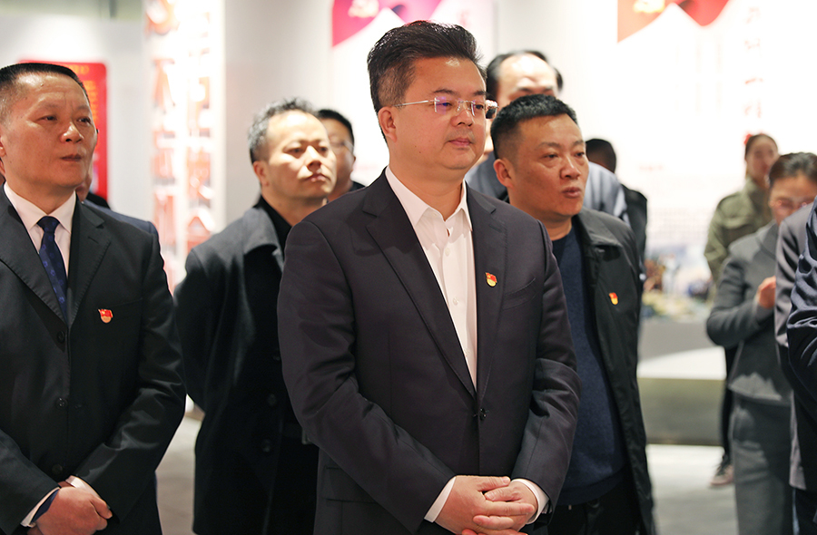 武冈市委理论学习中心组开展党史学习教育第一次专题学习(图3)