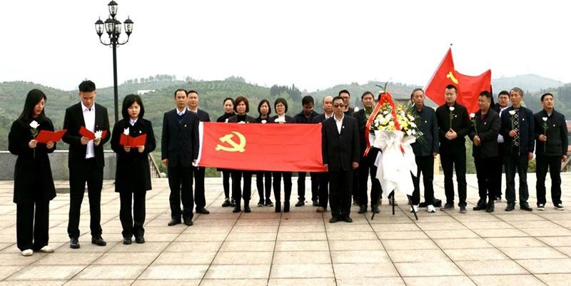 武冈市党史学习教育开展有声有色(图4)