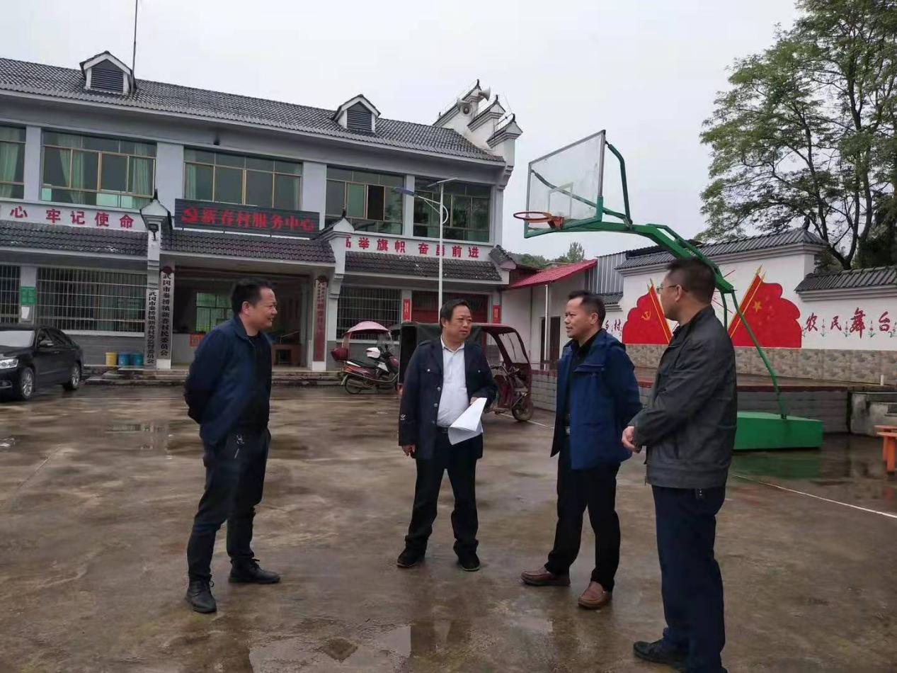 梁恩雄调研秦桥镇新春村工作(图1)