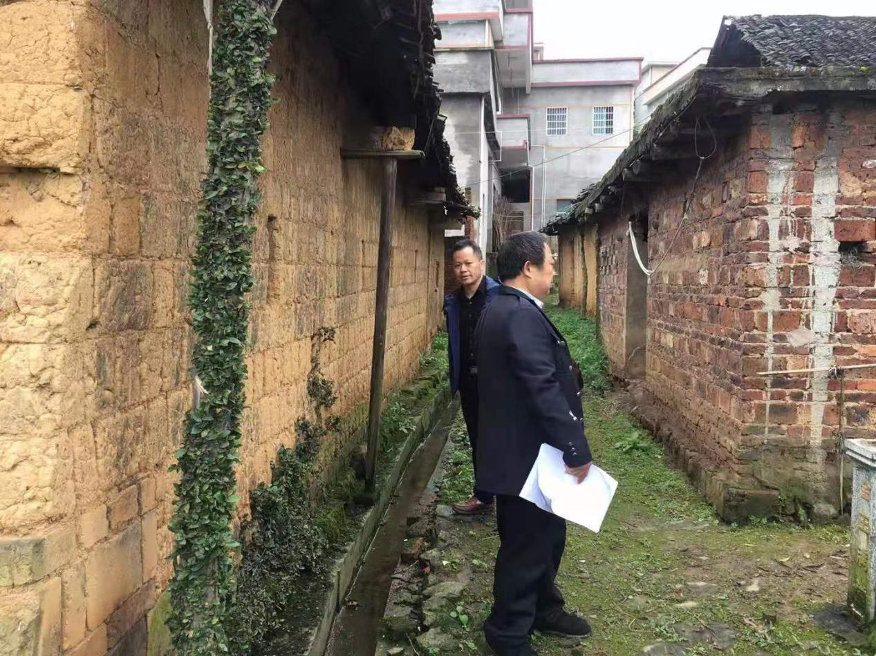 梁恩雄调研秦桥镇新春村工作(图3)