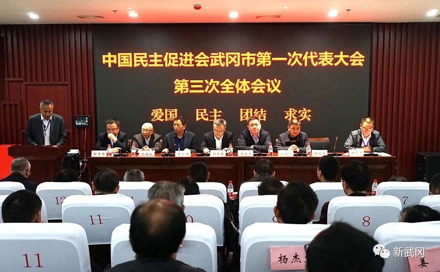 民进武冈市第一次代表大会召开(图1)