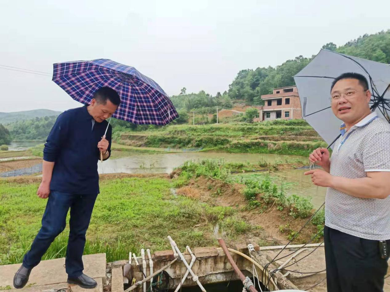 曹红旗调研秦桥镇已脱贫村巩固脱贫成果情况(图2)
