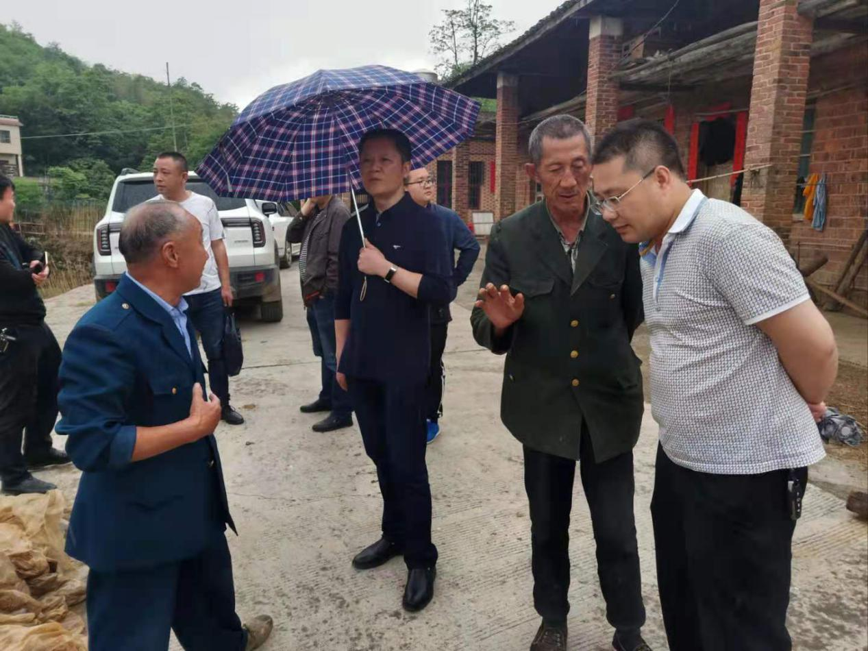 曹红旗调研秦桥镇已脱贫村巩固脱贫成果情况(图1)