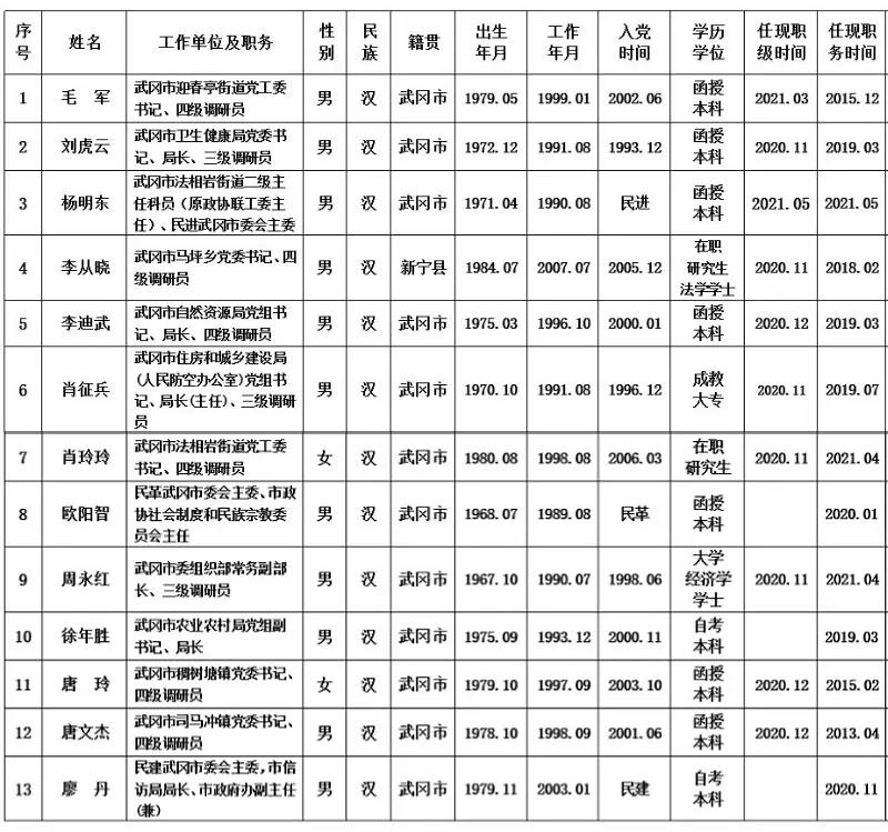 武冈市党委、人大、政府、政协领导班子换届人选考察对象公示名单(图1)