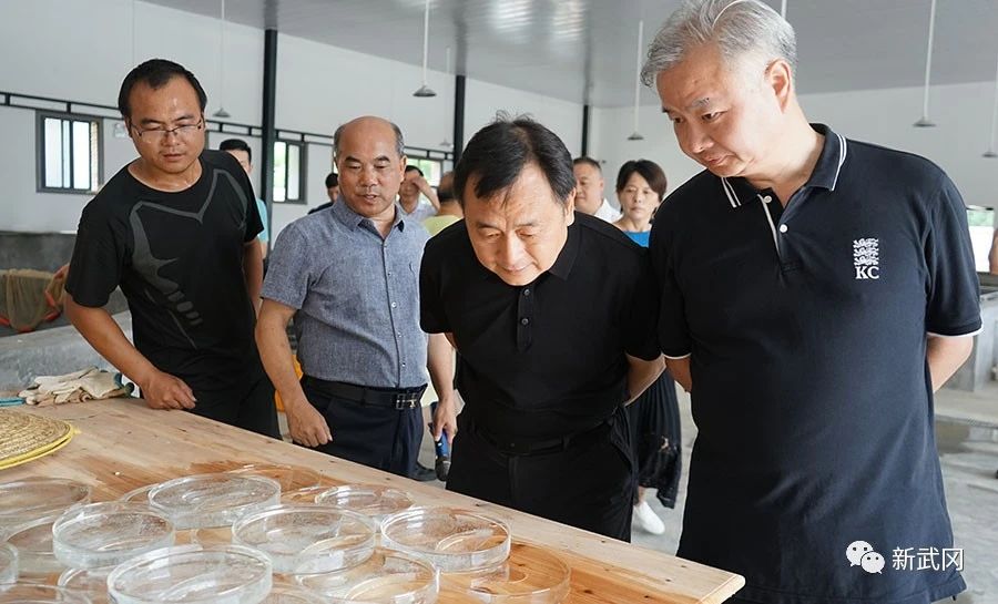 邵阳市政协来武冈开展“助力乡村振兴 、建设美丽乡村”专题视察(图1)