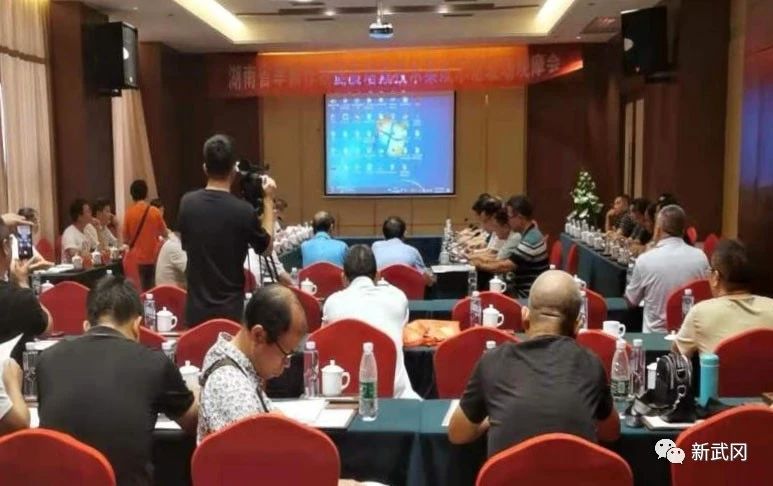 全省旱粮作物提质增效技术集成示范现场观摩会在武冈召开(图1)