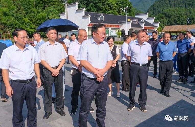 武冈市农村人居环境整治暨幸福美丽村庄创建工作推进会召开(图2)