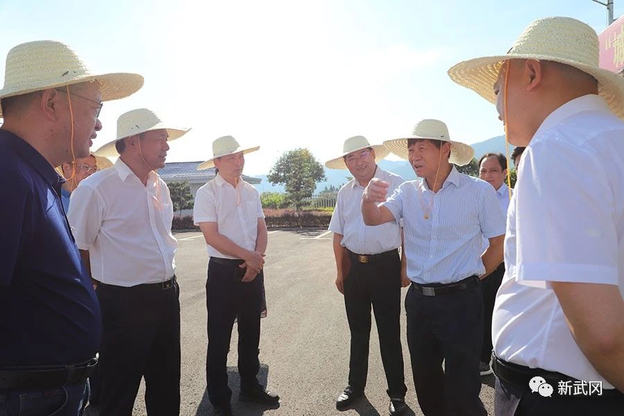 省政协常委曹英华来武冈调研(图2)