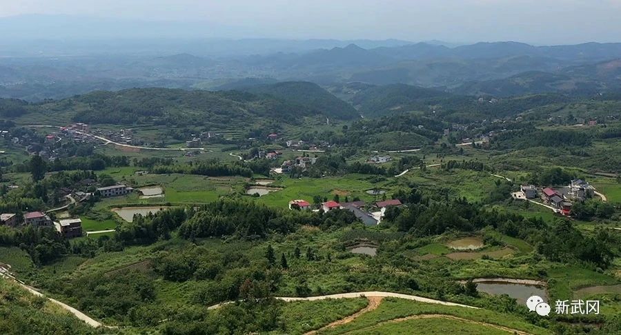 稠树塘镇甘田村：倡导乡风文明 助力乡村振兴(图1)