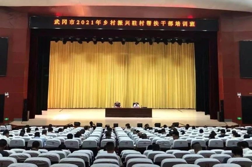 武冈市帮扶干部“充电”为乡村振兴助力赋能(图1)