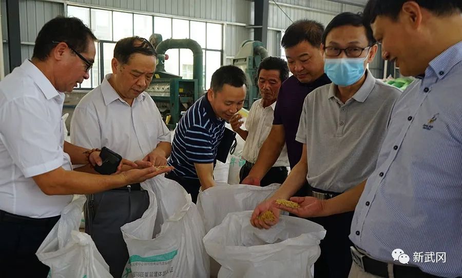 谭精益来武冈调研种业发展和粮食安全工作(图2)