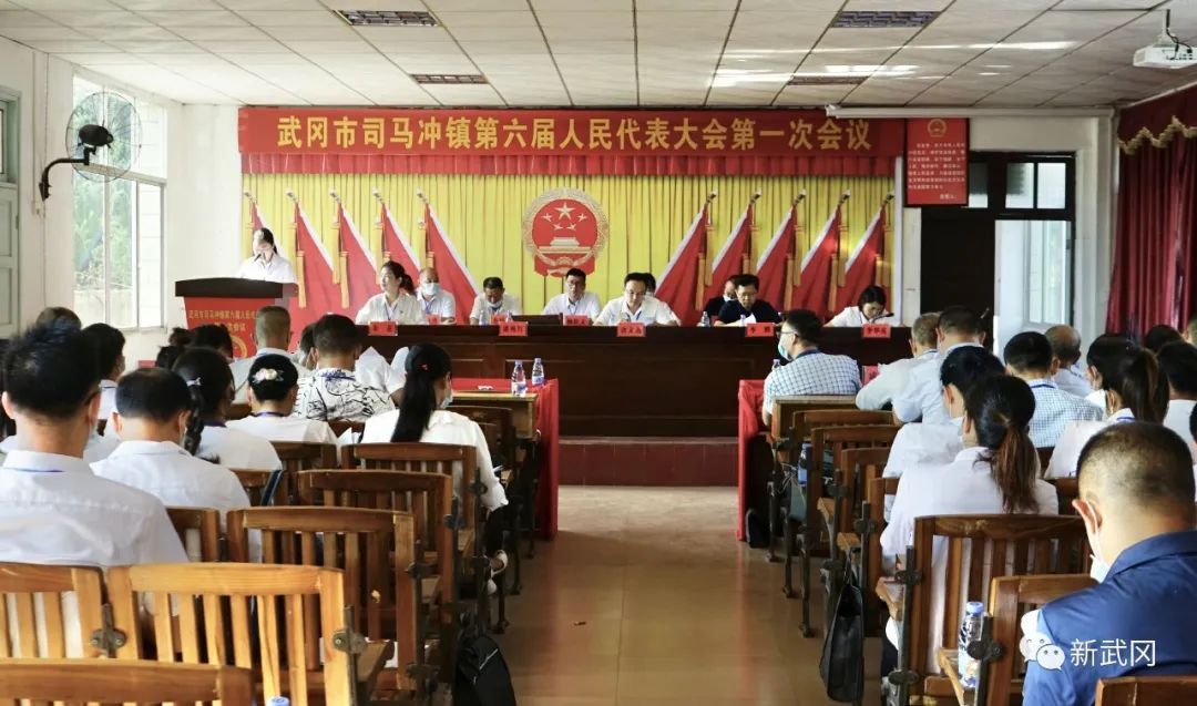 武冈市各乡镇召开人民代表大会(图4)