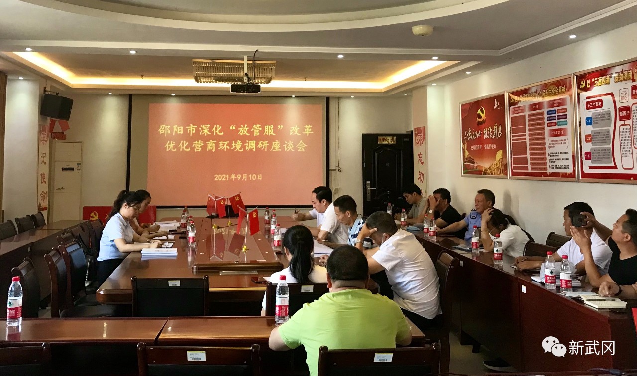 贺利平调研武冈市深化“放管服”改革优化营商环境工作(图1)