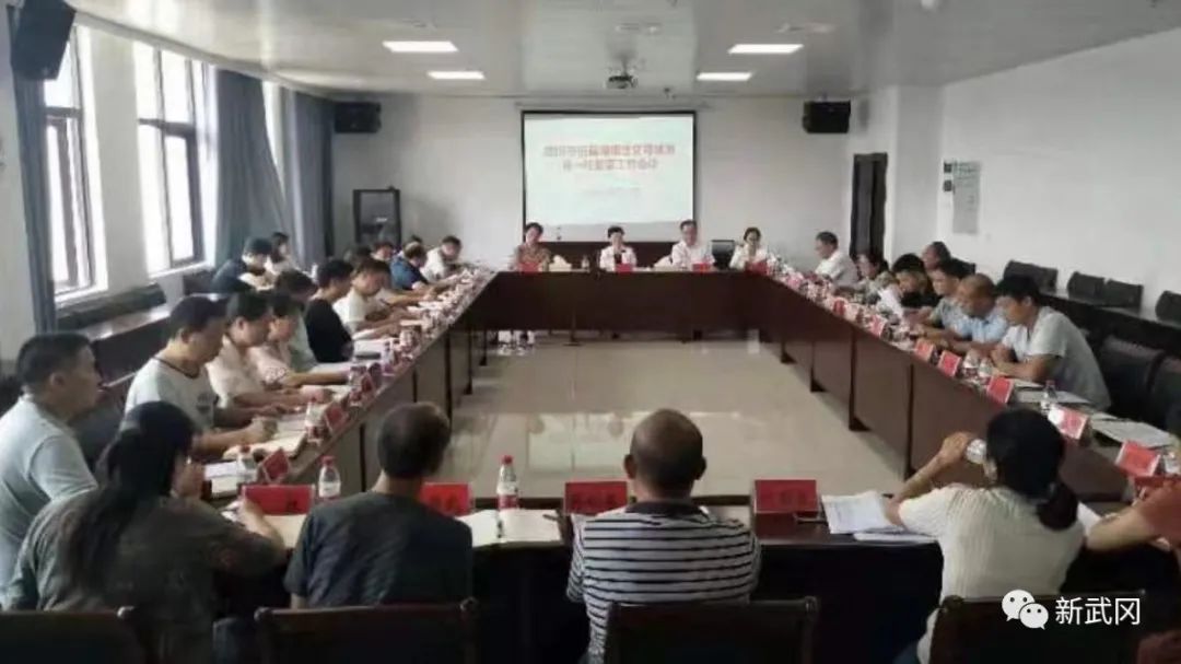 武冈市开展创建湖南省文明城市第一轮督查(图1)