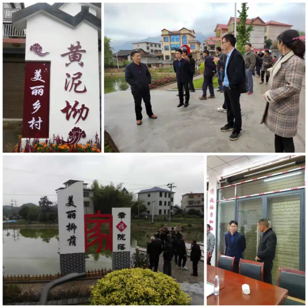 武冈市审计局美丽乡村建设调研取经(图1)