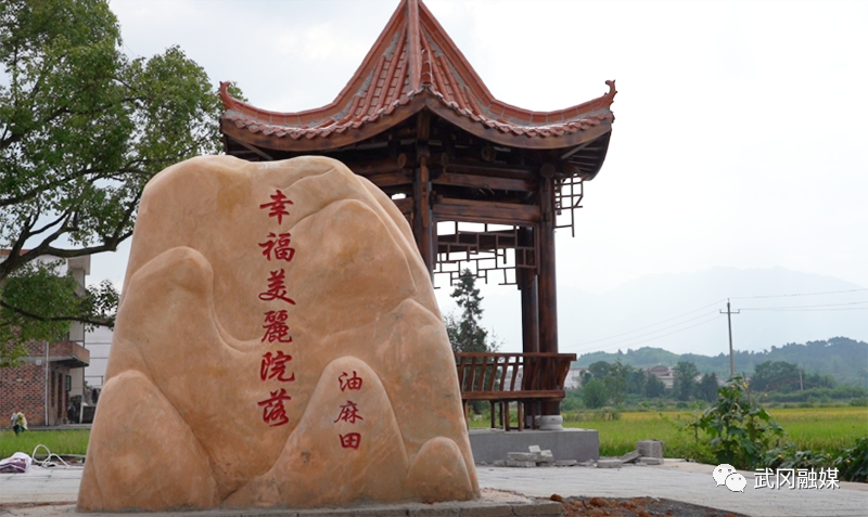 武冈:村村有特色 处处显亮点 幸福美丽村庄建设硕果累累(图1)