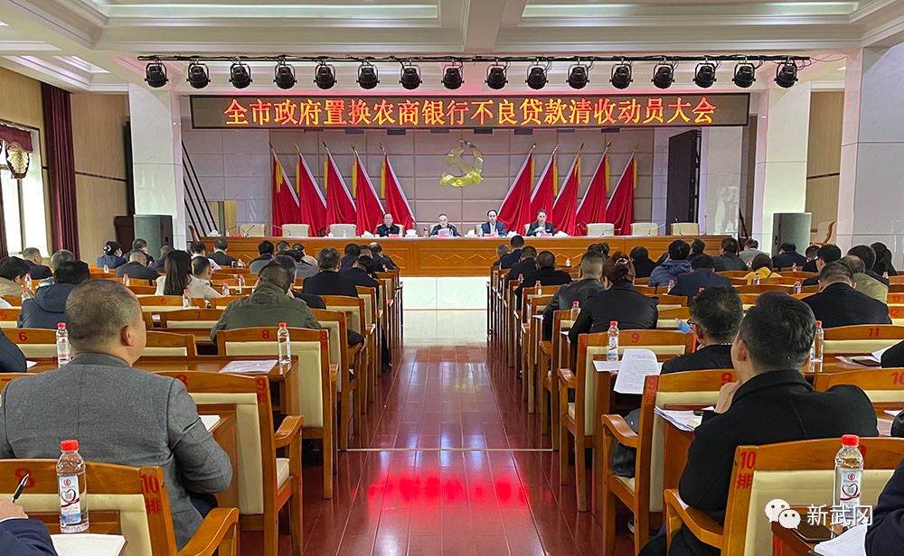 武冈市召开政府置换农商银行不良贷款清收动员会(图1)