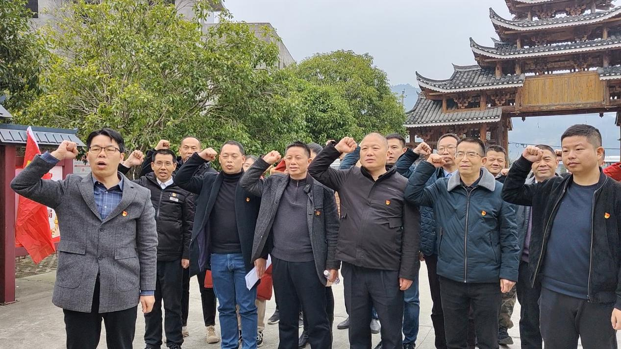 武冈市审计局开展红色教育党建活动(图2)