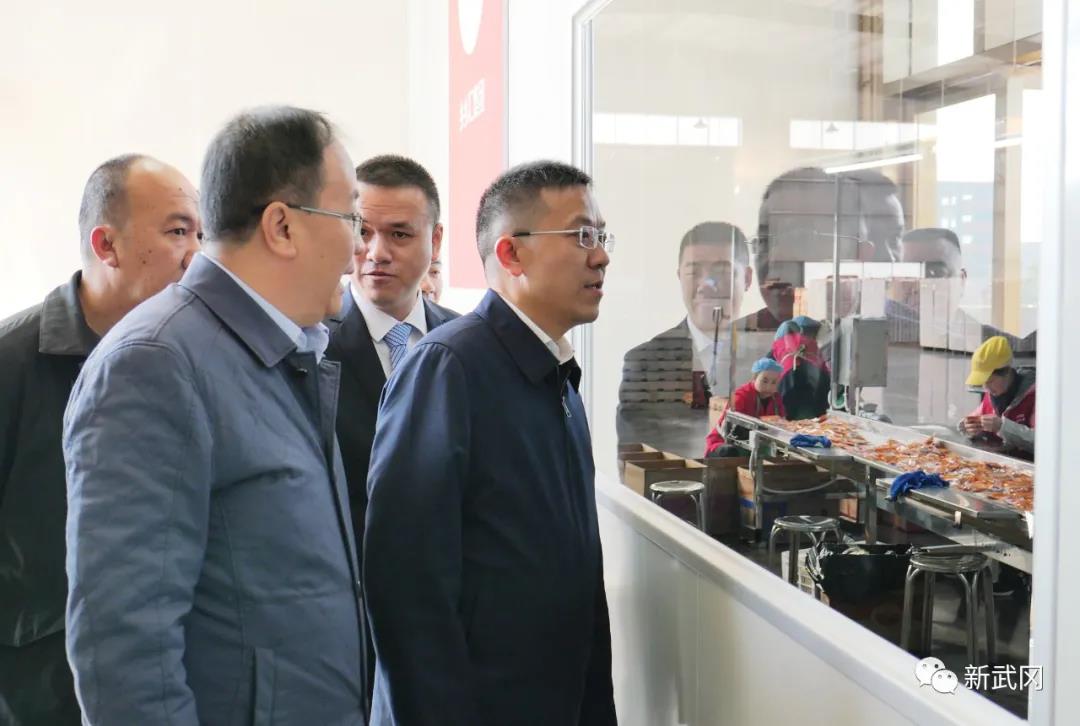 龚红果在武冈调研时强调 深入学习贯彻省党代会精神 让党旗在基层一线高高飘扬(图1)
