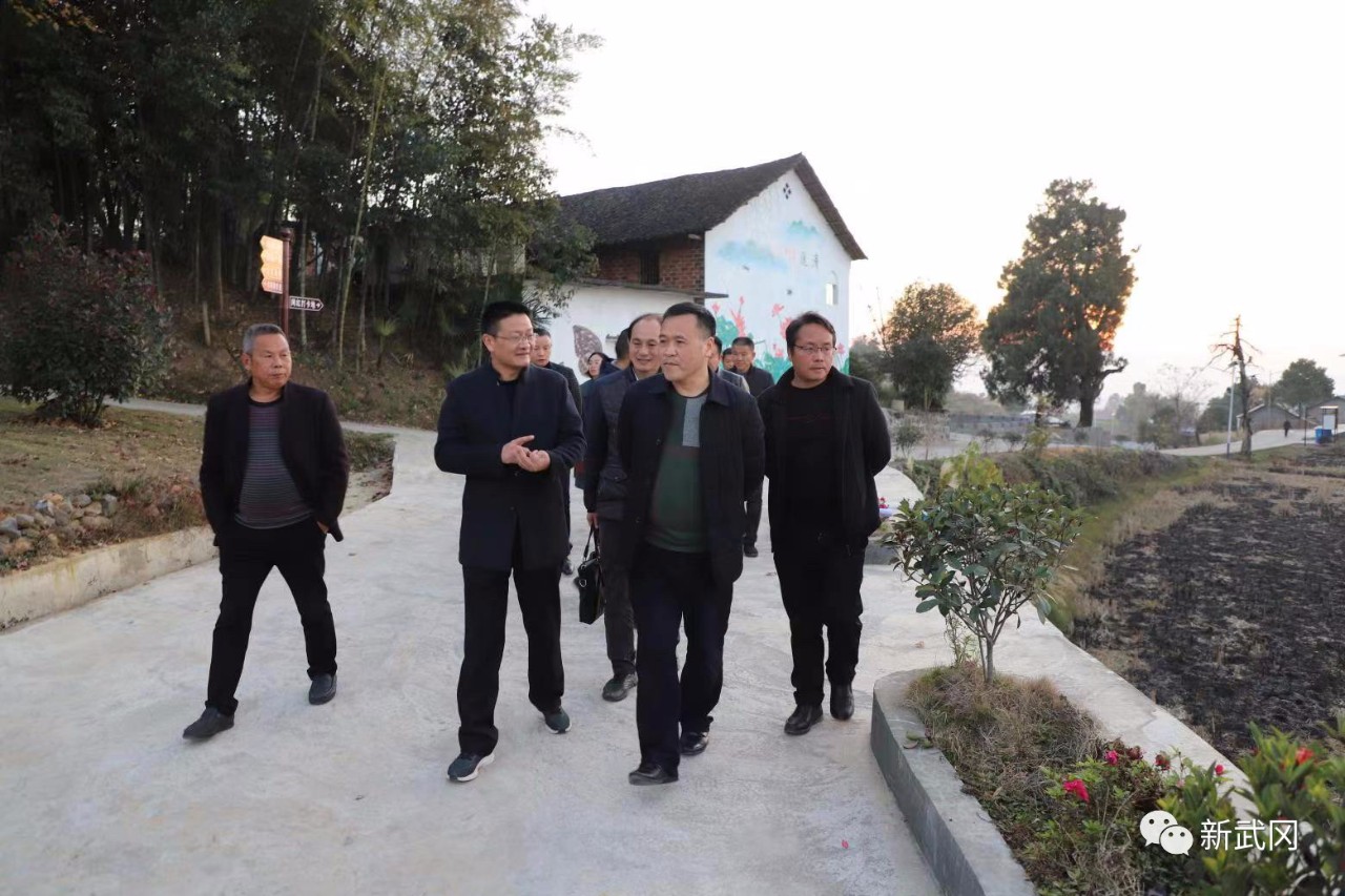 邵阳市纪委监委调研组赴武冈市调研清廉村居建设等工作(图2)