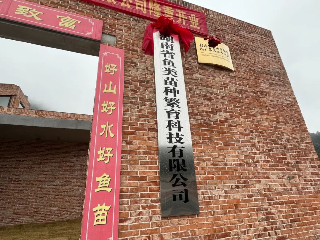 湖南省鱼类苗种繁育科技有限公司在武冈市玉屏村揭牌(图1)