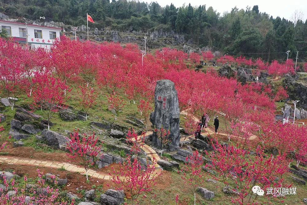 武冈全域推进幸福美丽村庄建设显成效(图5)