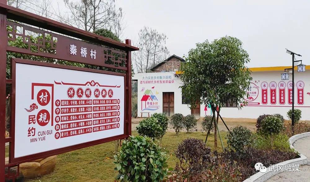 武冈全域推进幸福美丽村庄建设显成效(图4)