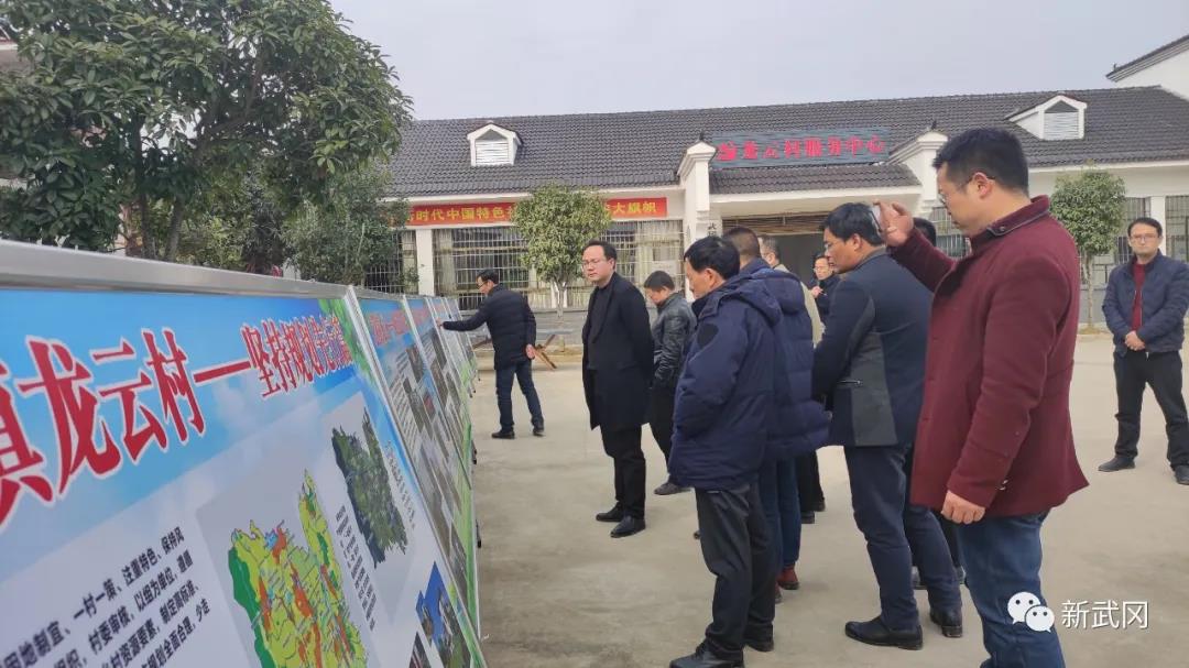 武冈市开展幸福美丽村庄创建现场观摩评比(图2)