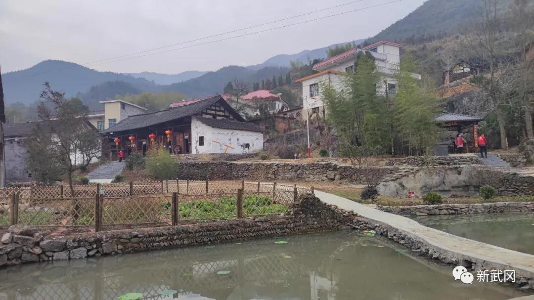 武冈市开展幸福美丽村庄创建现场观摩评比(图1)