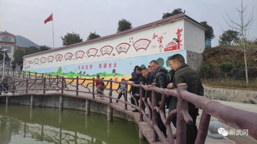 武冈市开展幸福美丽村庄创建现场观摩评比(图3)
