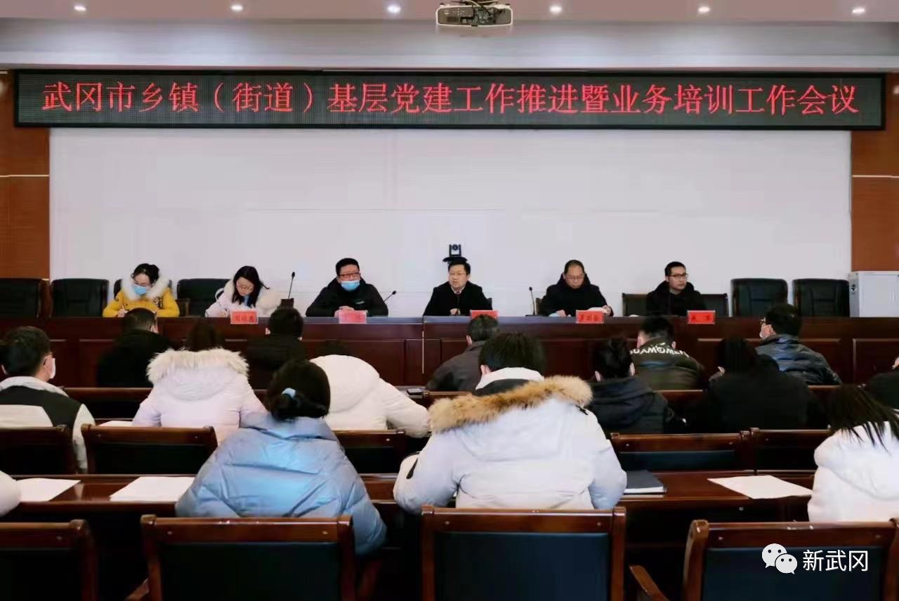 武冈市基层党建工作推进暨业务培训会议召开(图1)