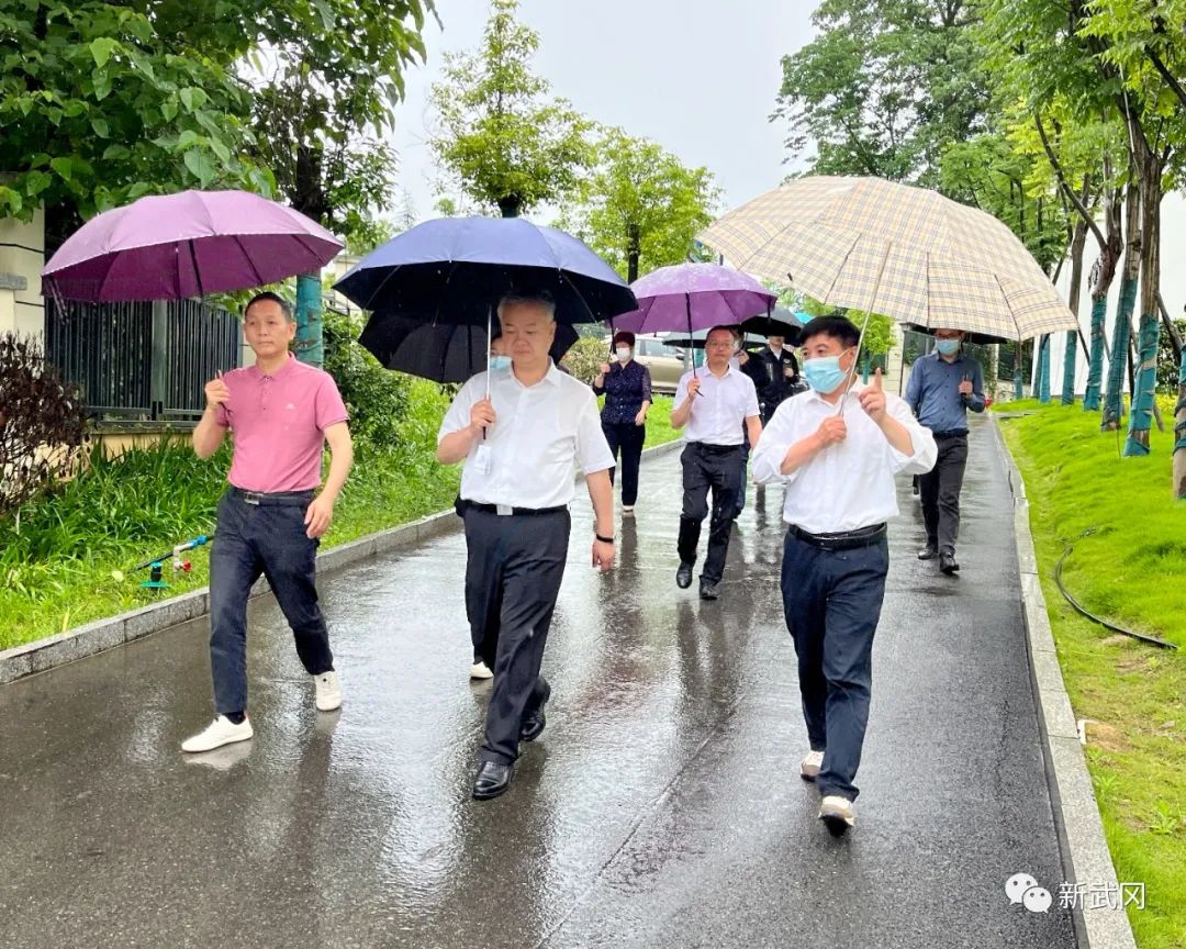 蒋伟到武冈市调研农村教育工作(图1)