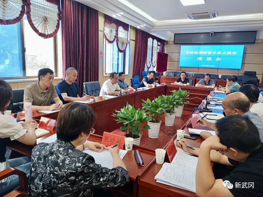 武冈市政协召开重点提案督办工作座谈会(图1)