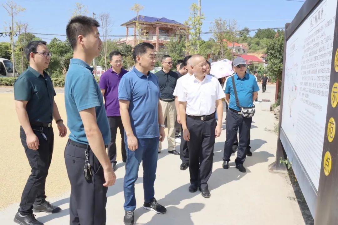 省司法厅调研武冈市基层法治建设工作(图1)